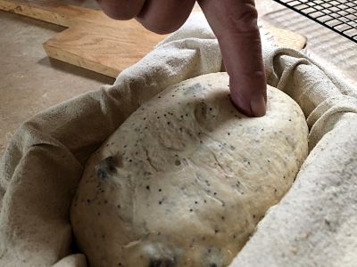 Cranberry Poppy seed Semolina Sourdough
Is it ready to bake?
