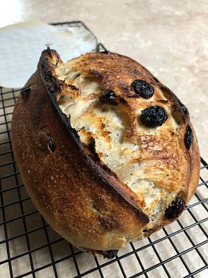 Cranberry Poppy seed Semolina Sourdough
Cooling down
