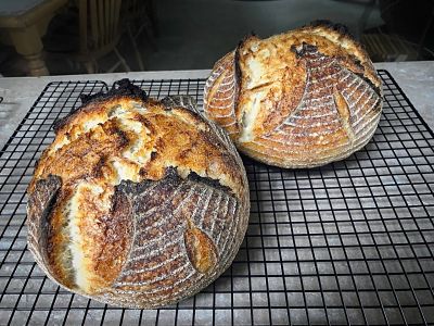 Sourdough French Bread
This is one of our favorite "white" French-style loaves.  No whole grain flour is included.  This bread has a creamy crumb inside a crisp but chewy crust.  Overnight cold fermentation (Fridge, bottom shelf) yields a pronounced but not acidic sour tang.
