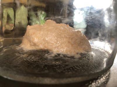 Starter gathered up after feeding
After feeding, the starter is gathered up into a mound.  As this breaks down and spreads it gives visual indicator of the state of development.
