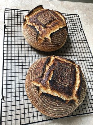 Finished loaves, cooling on the rack
Baked fully, and cooling on a rack, singing away.  As the crust cools it cracks into small "plates", and the crackling sound is clearly audible.
