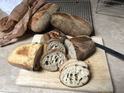 Pugliese - Failure to Launch
This was a dough that just died on the proving rack.  All looked good until I put it to rise for baking, and then...  Nothing much happened.  It baked up gooey and very sticky-gooey in the center.  Most of the evidence points to over-fermentation during bulk rise.  Threw out the entire batch.
Keywords: sourdough;pugliese;fail