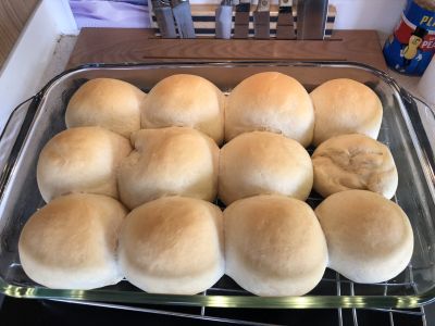 Rolls Baked In Trailer
I baked these rolls in the little propane oven in the trailer.  They were good!
