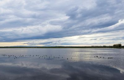San Joaquin Delta Cloudy Day
The clouds, and their reflection in the water, caught my interest on this visit.  We had hoped for Sandhill Cranes, but this was the consolation for not finding any.
Keywords: SAN JOAQUIN DELTA;CLOUDS