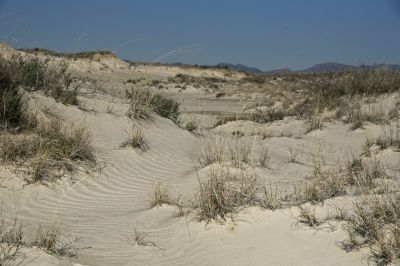 The Long View
More iInteresting wind and rain sculpting
Keywords: SPRING 2020;WILLCOX