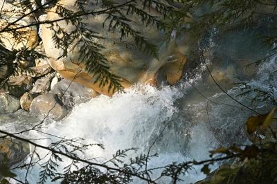 Wells Creek From Above
This is a view from 30 feet above, down into Wells Creek through the brush and bush.  Wells Creek drops into the North Fork of the Nooksack just below Nooksack Falls.

