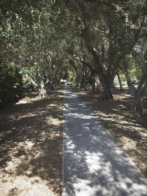 Long View
Lotus Gardens at Montecito (Santa Barbara)
