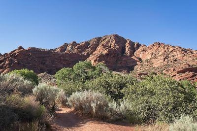 More Red Rock Canyon Beauty
A mid-morning view in Red Rock Canyon
